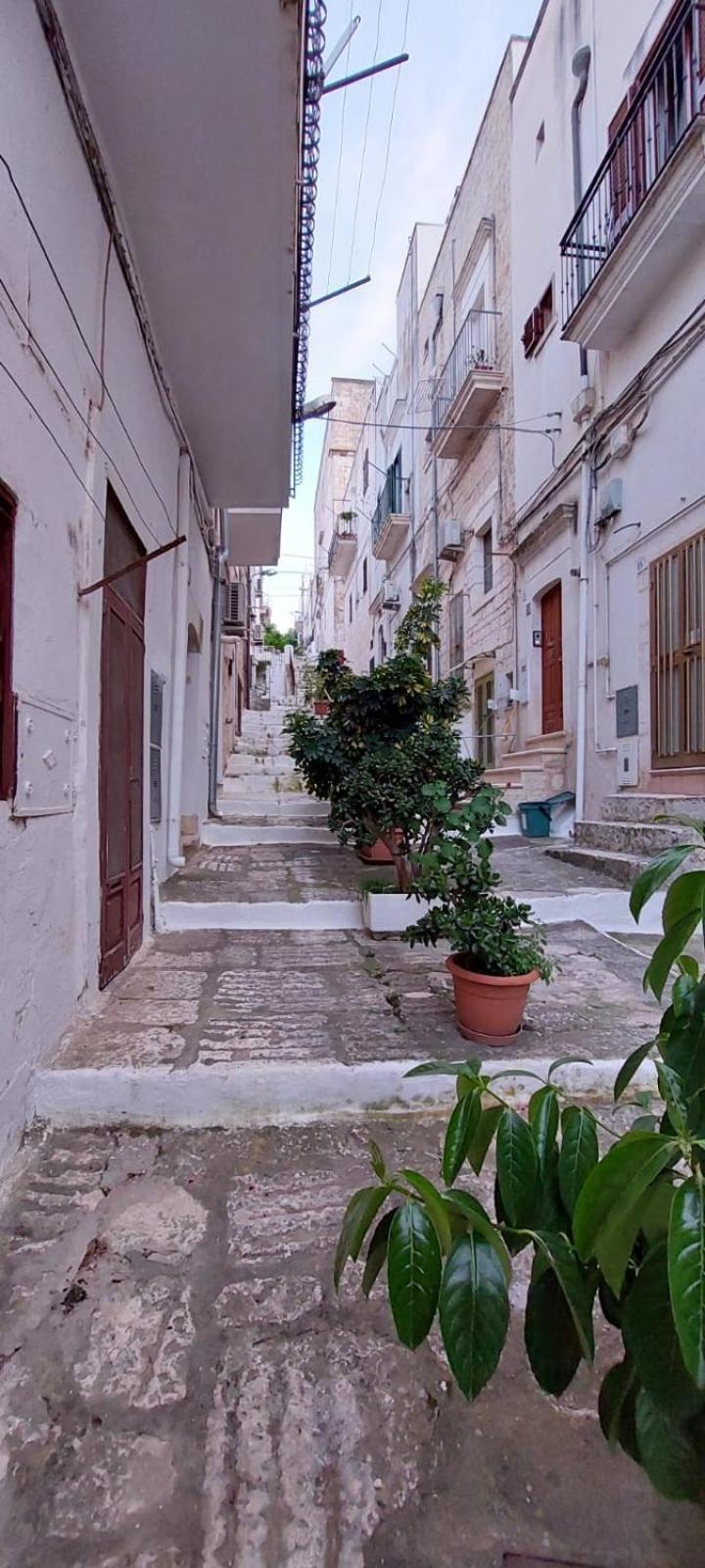 אוסטוני Vico Anglani Guest House מראה חיצוני תמונה